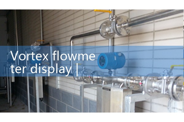 Vortex flowmeter display